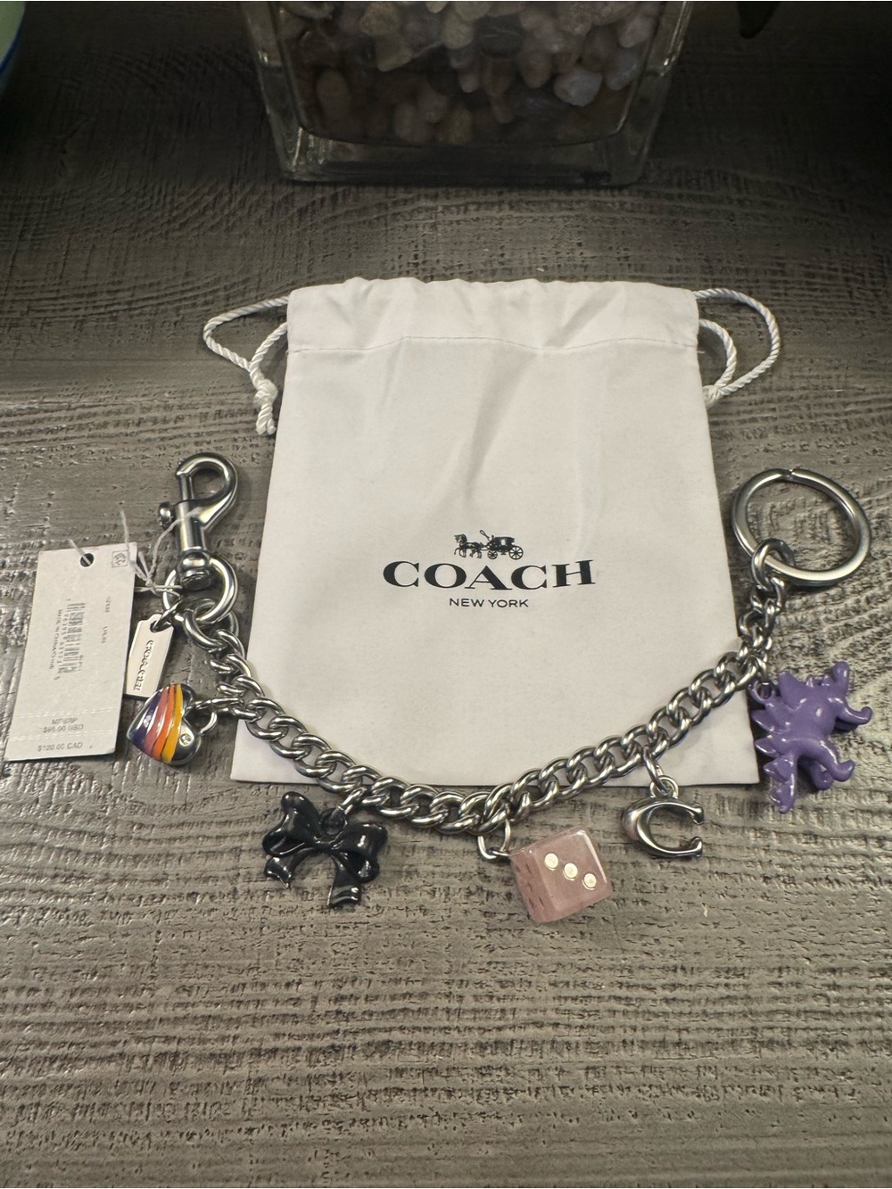 COACH $98 Silver-Tone Bag Charm Chain or Keychain with Several Charms